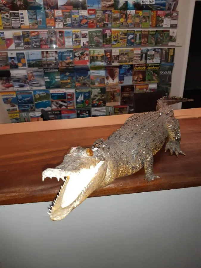 Travellers Paradise Cairns Hostel