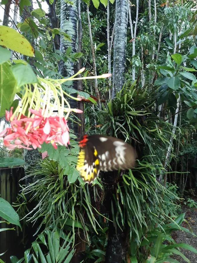 Travellers Paradise Cairns Australia
